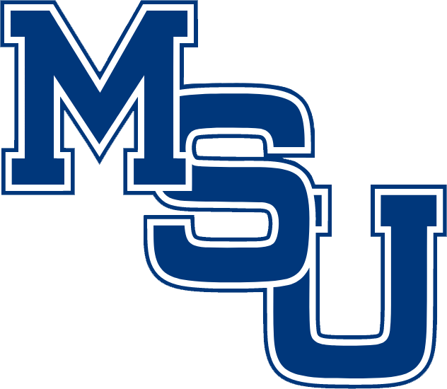 Memphis Tigers 1979-1993 Alternate Logo iron on transfers for clothing
